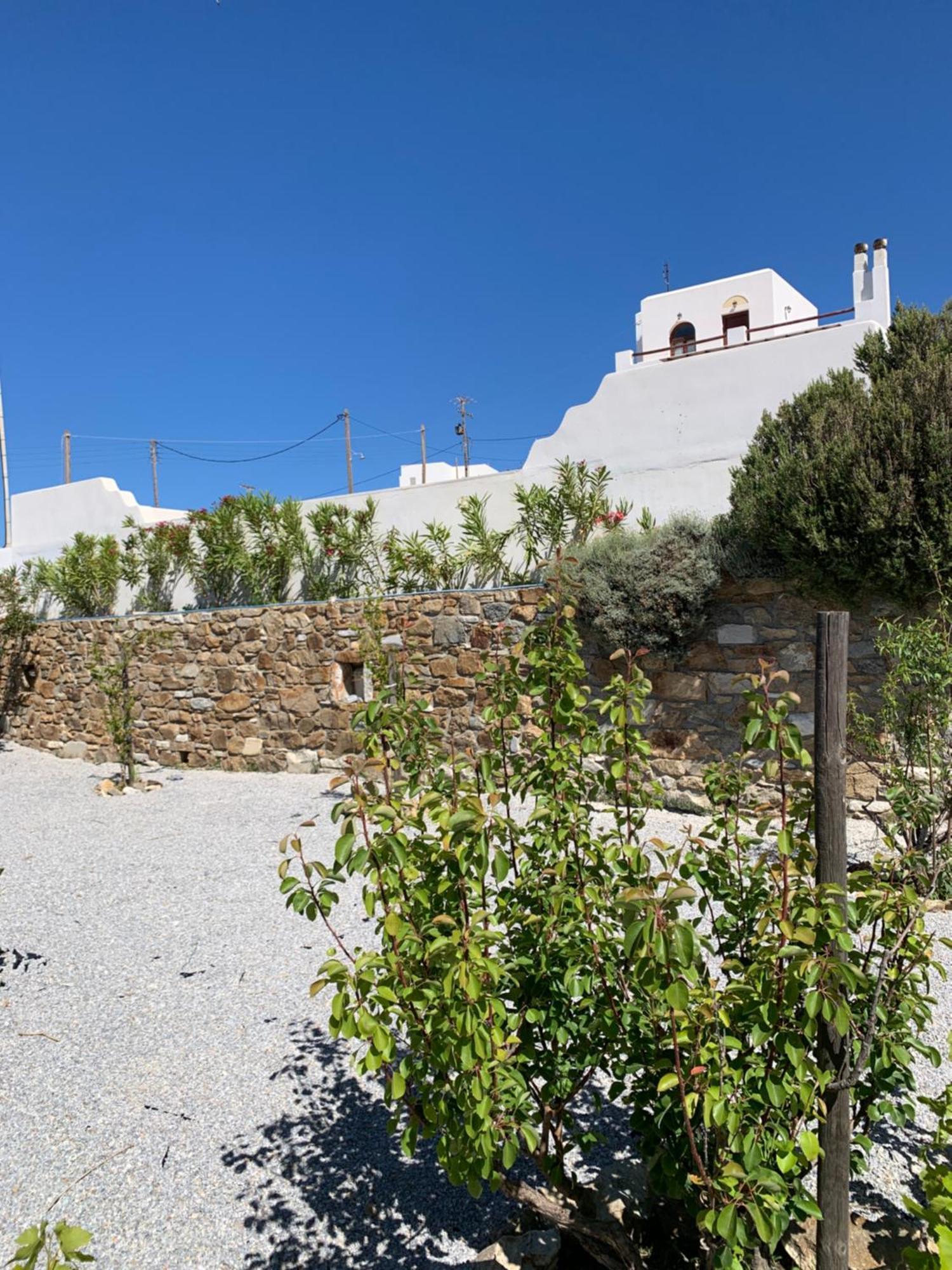Villa Of Roses In Naxos - Private Villa With Pool Naxos City Exterior photo